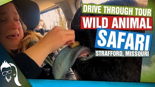 Wild Animal Safari Strafford MO  Drive Through Tour [upl. by Anairo52]