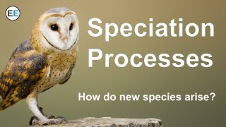 Speciation Processes  How do new species arise [upl. by Mechelle]