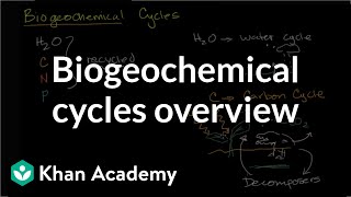 Biogeochemical cycles  Ecology  Khan Academy [upl. by Quentin665]