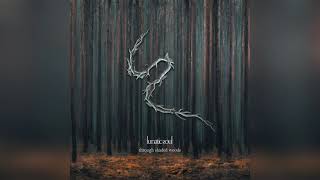 Lunatic Soul Album Through Shaded Woods 2020 [upl. by Aicak114]