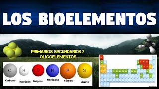 TODO SOBRE LOS BIOELEMENTOS  CLASIFICACIÓN Y FUNCIONES  CARACTERISTICAS [upl. by Rhianna]