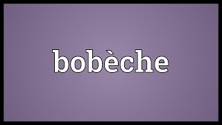 Bobèche Meaning [upl. by Akimik]