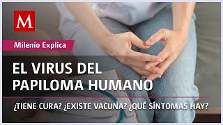 El virus del papiloma humano ¿Tiene cura ¿Qué síntomas hay  Milenio Explica [upl. by Bluefield]