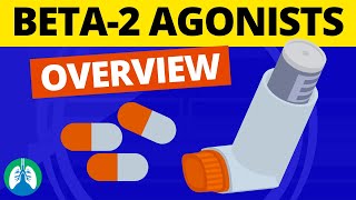 Beta2 Adrenergic Agonists Medications OVERVIEW  Bronchodilators [upl. by Runck]