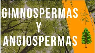 Las plantas GIMNOSPERMAS y ANGIOSPERMAS explicación COMPLETA [upl. by Nace]