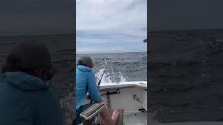 Sailfish fishing Watamu Kenya [upl. by Icyak]