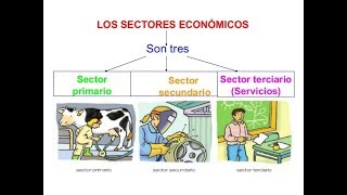 Sectores económicos [upl. by Aikcir818]