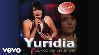 Yuridia  Lo Siento Mi Amor Cover Audio [upl. by Delsman]