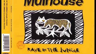 MULHOUSE  Rave in the jungle jungle version [upl. by Edina854]