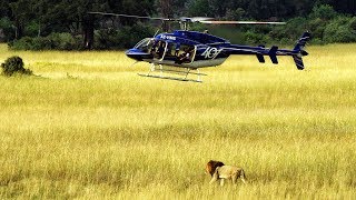 Travel Documentary Amazing scenic flight over Okavango Delta with Helicopter Horizons Botswana [upl. by Boj]