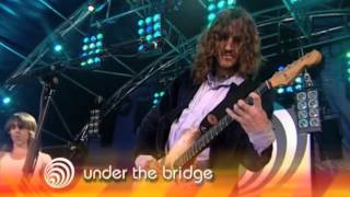 Red Hot Chili Peppers  Under the Bridge  Live [upl. by Guevara]