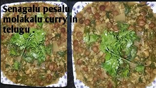 Senagalu pesalu molakalu curry in Telugu [upl. by Anayd]