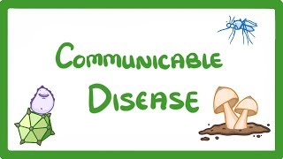 GCSE Biology  Communicable Disease 34 [upl. by Naujid]