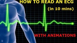 HOW TO READ AN ECG WITH ANIMATIONSin 10 mins [upl. by Cadmarr674]