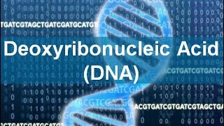 Deoxyribonucleic Acid DNA [upl. by Einor]