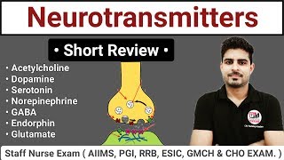 Neurotransmitters  Types and Function Short Review [upl. by Anileme927]