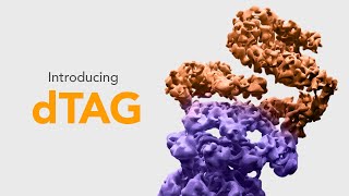 dTAG  A Powerful New TagBased Degradation System [upl. by Chuck855]