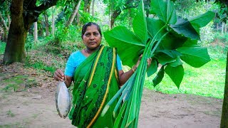 Hilsa amp Arum Spinach Village Cooking Recipe by Village Food Life [upl. by Svensen]