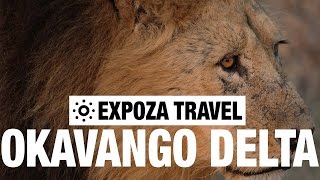 Okavango Delta Vacation Travel Video Guide [upl. by Llenad620]