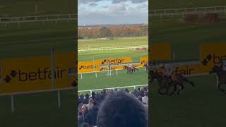 Tingle Creek 2021 [upl. by Tamarah]