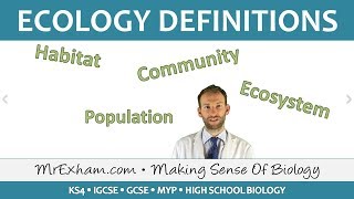 Ecology  Key Definitions  GCSE Biology 91 [upl. by Enilec]