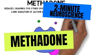 2Minute Neuroscience Methadone [upl. by Metsky234]