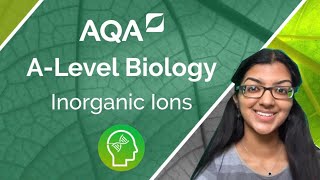 AQA A Level Biology Inorganic Ions [upl. by Hertz]