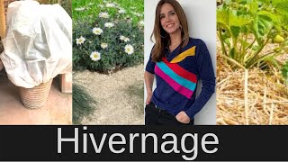 Hivernage comment soccuper de ses plantes lhiver [upl. by Quirk]