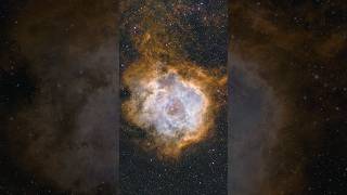 Backyard VS Observatory The Rosette Nebula [upl. by Neffirg]