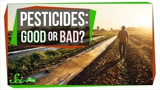 How Safe Are Pesticides Really [upl. by Mis]