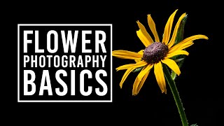 Flower Photography Tips for Beginners amp Macro Photography Ideas [upl. by Worthington]