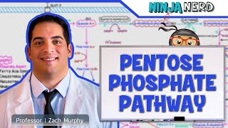 Metabolism  Pentose Phosphate Pathway [upl. by Assadah]