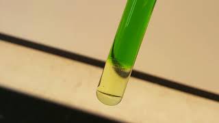 Isolation of chlorophyll and carotenoid pigments from spinach [upl. by Ailis]