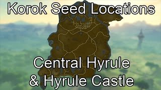 Breath of the Wild Korok Seed Guide  Central Hyrule amp Hyrule Castle [upl. by Bamby301]