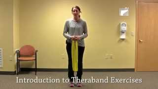 Introduction to Theraband Exercises [upl. by Chickie]