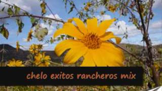 chelo exitos rancheros mix [upl. by Allemrac969]