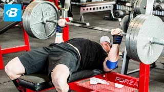 How To Bench Press Layne Nortons Complete Guide [upl. by Aileme649]