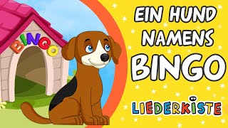 Bingo  Kinderlieder zum Mitsingen  Liederkiste [upl. by Assirod]