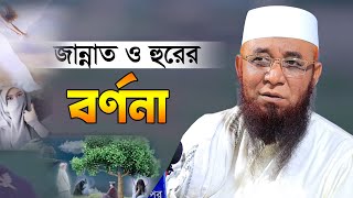 জান্নাত ও হুরের সৌন্দর্য বর্ণনা  Bangla New Waz  আল্লামা নজরুল ইসলাম কাসেমী [upl. by Pietrek]