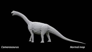 Camarasaurus [upl. by Ecnarolf]