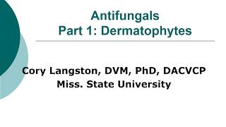 Antifungal Therapy in Veterinary Medicine Part 1 Dermatophytes [upl. by Yran]