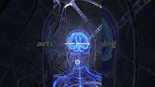 How to reprogram your subconscious mind EFFORTLESSLY  Innertune Affirmations [upl. by Phip597]