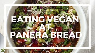 Eating Vegan At Panera Bread  Delicious amp Easy [upl. by Dronski]