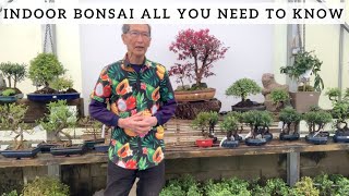 Indoor Bonsai All You Need To Know [upl. by Airekahs]