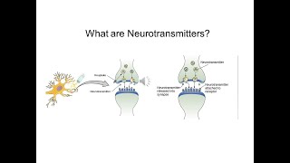 What are neurotransmitters [upl. by Yleoj]