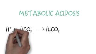 Bicarbonate  The Primary Buffer [upl. by Hicks]