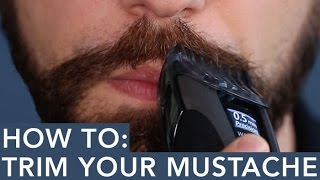 How to Trim Your Mustache [upl. by Amri231]