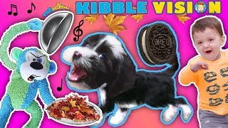 OUR PUPPY DOG TALKING ABOUT FOOD  FUNnel Vis OREO Songs Compilation Vlog  Climbing Wall T [upl. by Barty470]