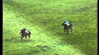 1985 Tingle Creek Handicap Chase [upl. by Hazem]