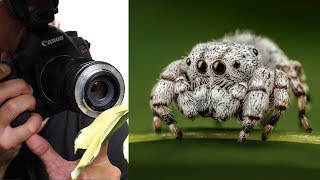 Use Any Lens for Macro Photography [upl. by Odraode942]